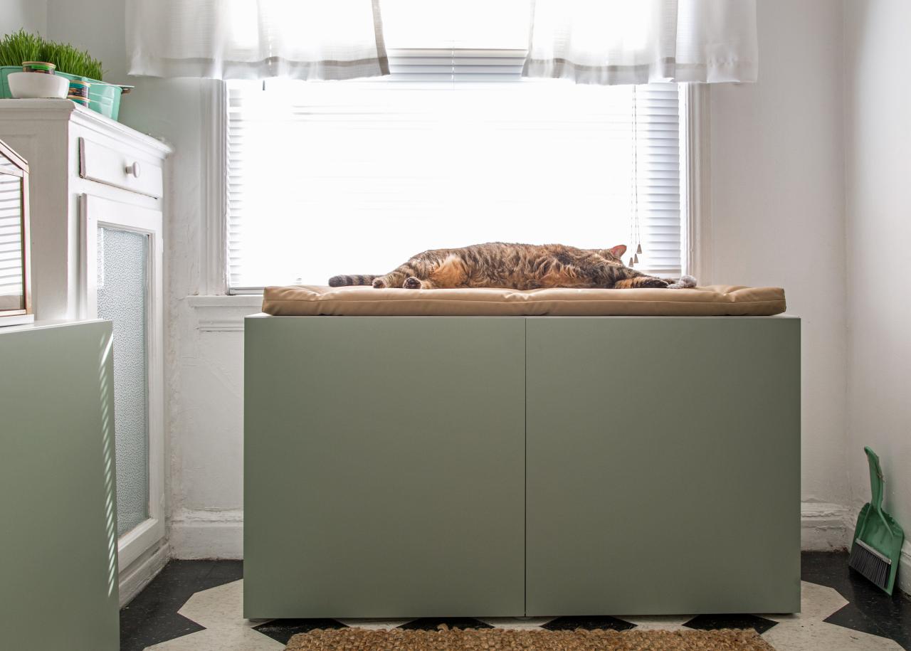 How To Conceal A Kitty Litter Box Inside A Cabinet How Tos Diy