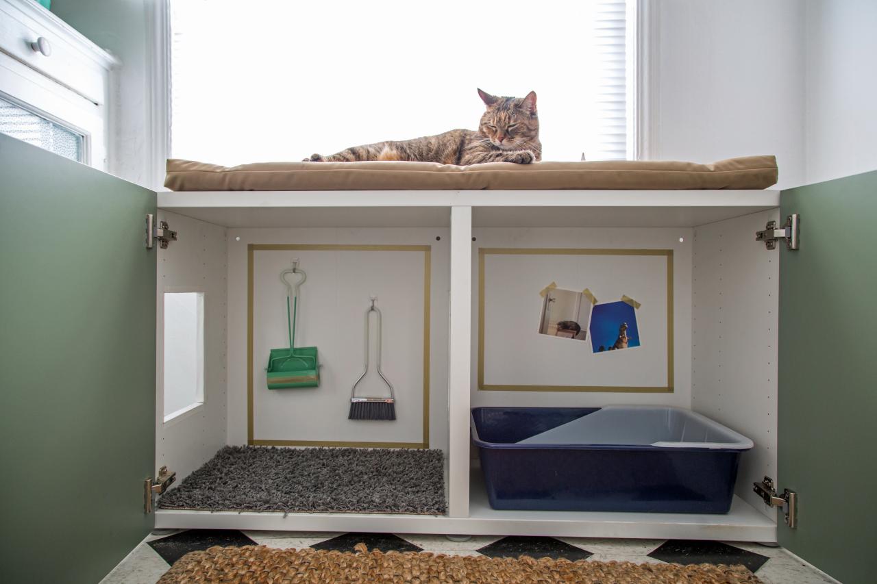 How To Conceal A Kitty Litter Box Inside A Cabinet How Tos DIY