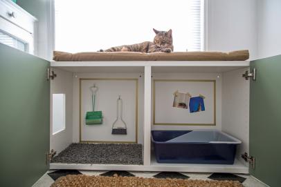kitty cabinet