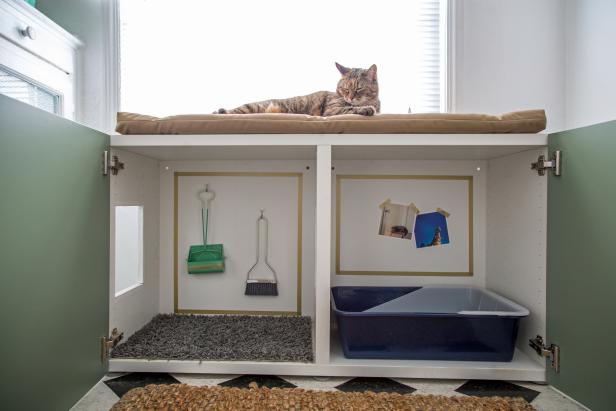 How To Conceal A Kitty Litter Box Inside A Cabinet How Tos