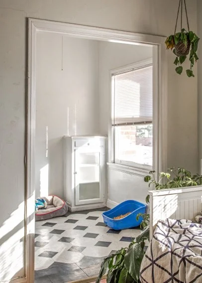 How to Conceal a Kitty Litter Box Inside a Cabinet | HGTV