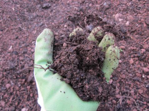 How to Prepare Soil for a Garden