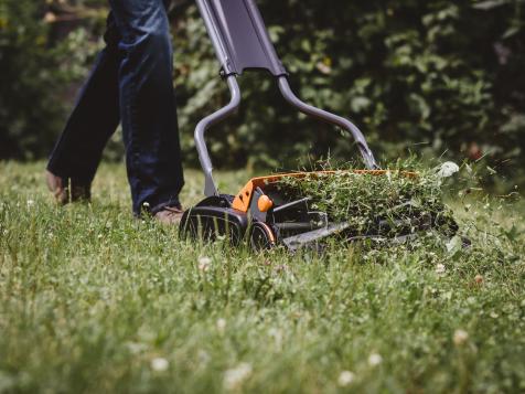 Winter's Coming: When To Stop Mowing Your Lawn