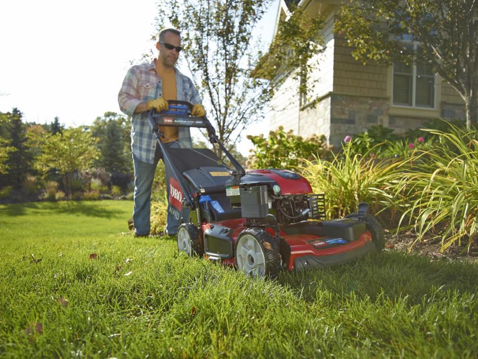 how was grass cut before lawn mowers