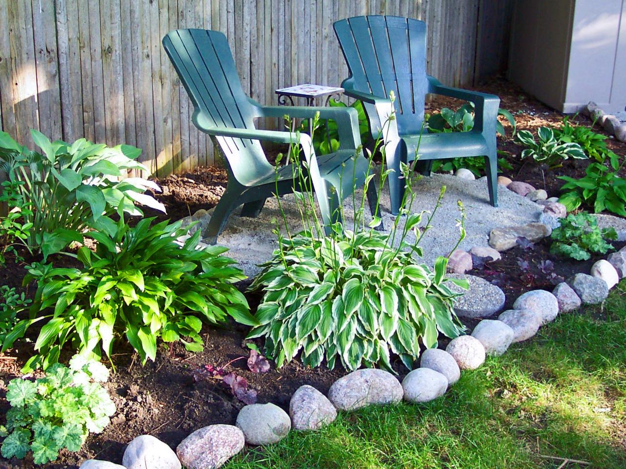 How and When to Transplant Hostas | DIY