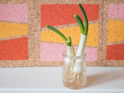 How to Grow Onions From Scraps