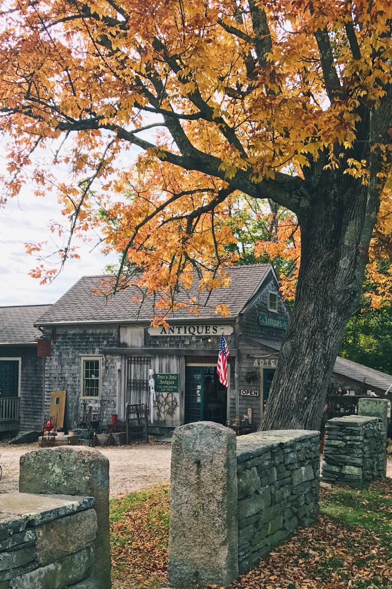 Antiquing to find new treasures is my favorite fall pastime. Vermont is filled to the brim with so many hidden gems - we discover new ones every time we go up. 