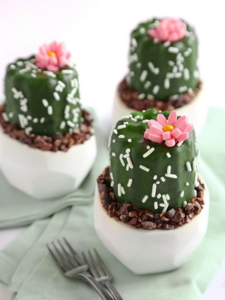 Tiny Cactus Cakes Planted in Chocolate Soil