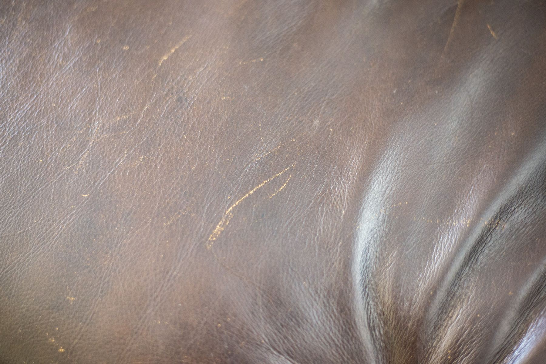 Make Your Leather Furniture As Good AsNew!-Hot Leather Healing Balm 