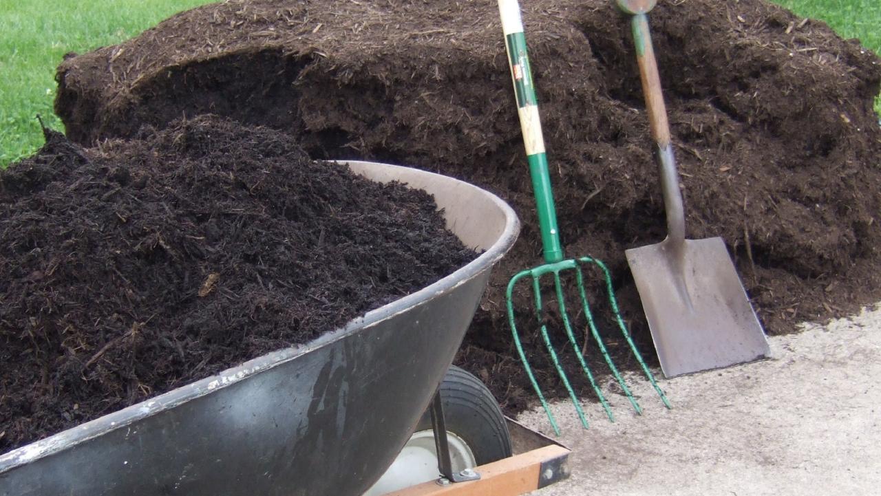 Fall Mulch Tips How and Why to Mulch in Fall HGTV