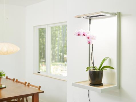 How to Choose the Best Indoor Lighting for Plants