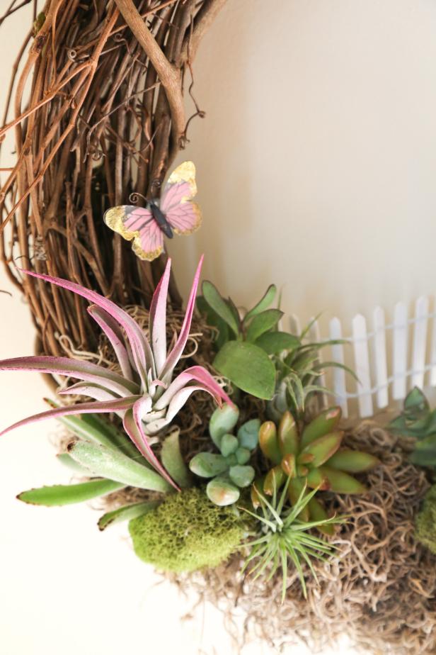Airplants and succulents are attached to the wreath