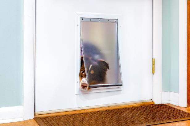 Installing A Dog Door In Metal, How To Make A Doggie Door For Sliding Glass Door