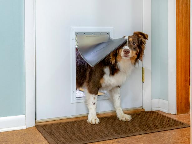 Installing A Dog Door In A Metal Aluminum Or Steel Door Diy