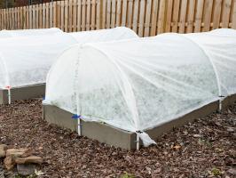Build a Hoop House to Protect Your Vegetables