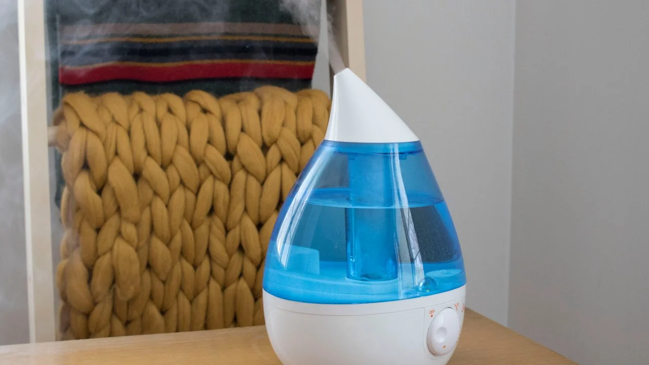 How to Clean a Humidifier to Avoid Mold Buildup HGTV