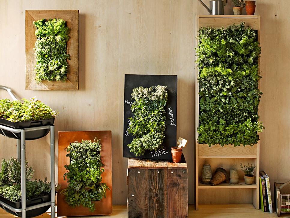 Vertical Gardens | DIY