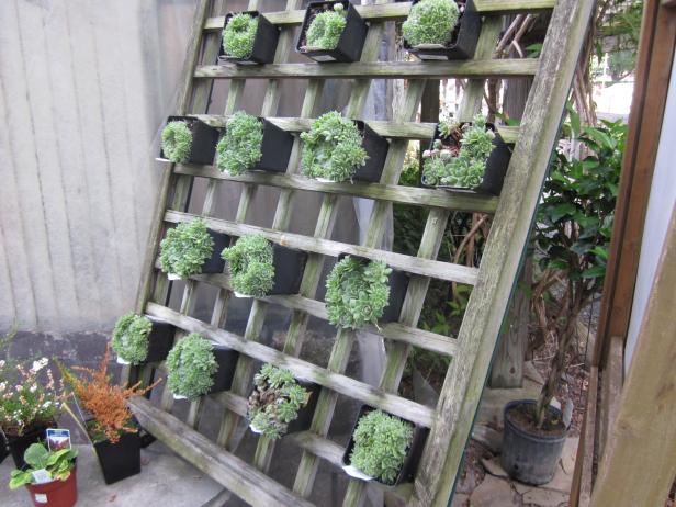 Vertical Home Designs Vertical Gardens DIY