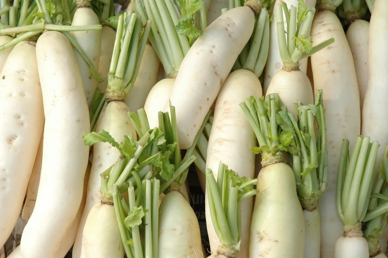 These are 5 tremendous benefits of eating radish in winter, start eating today