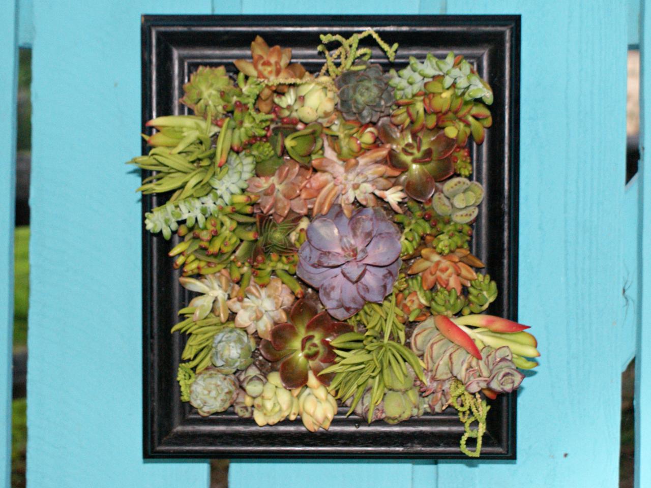 How To Make A Succulent Garden Shadowbox Diy