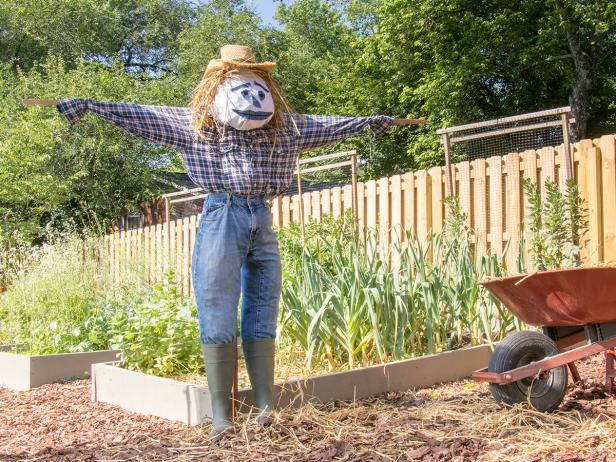 It's easy to create a simple scarecrow for Halloween or to frighten critters out of your garden.