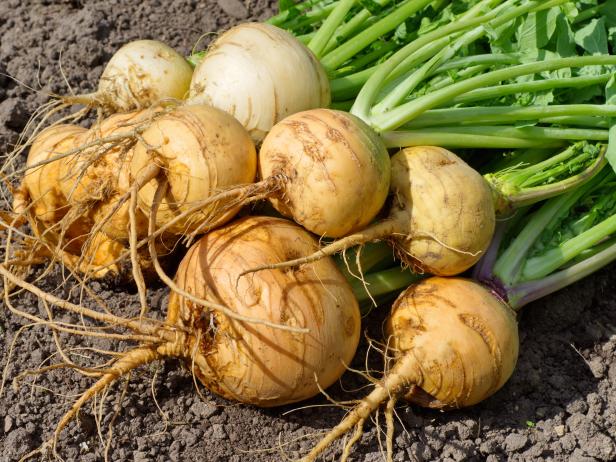 Image result for turnips"