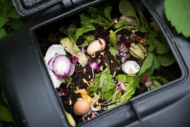 Compost Bin