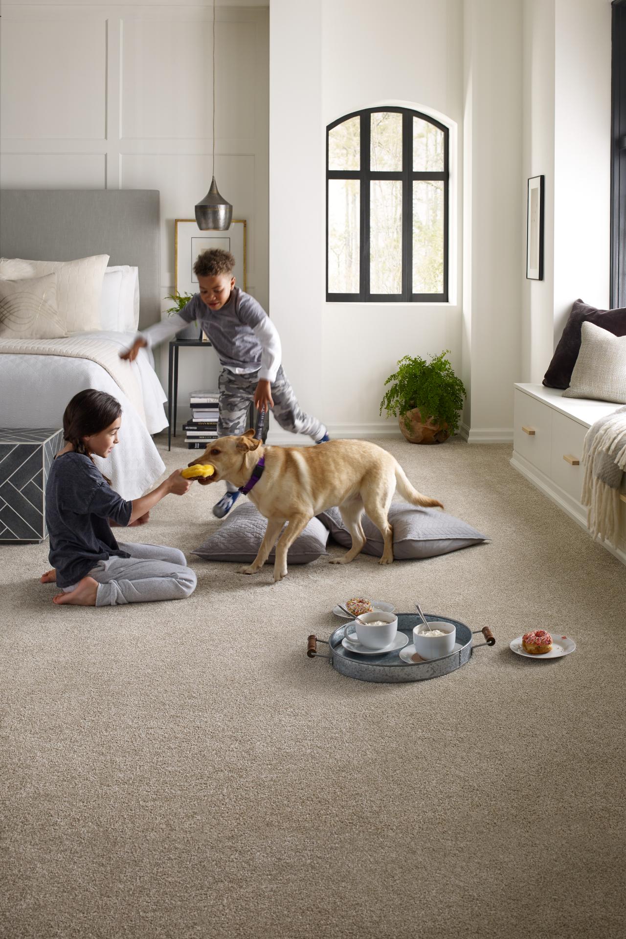 12 Forgiving Floors For Homes With Pets, Dog Friendly Area Rugs