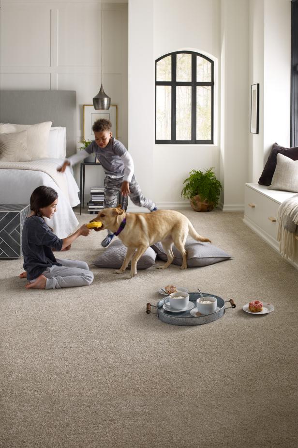 Choosing high-performannce pet-friendly carpet for your home.