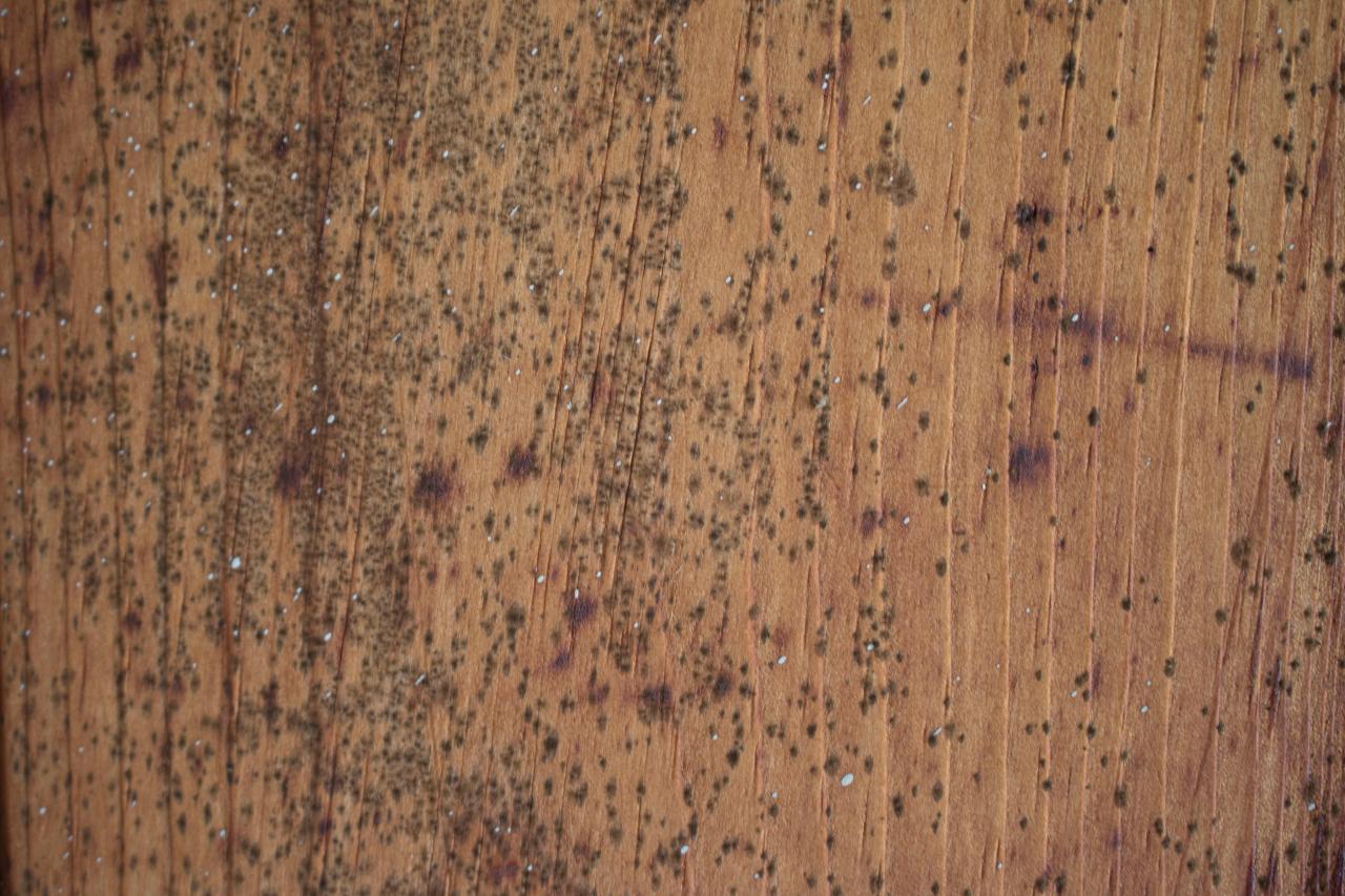 Remove Mold From A Wooden Ceiling, Removing Mold From Hardwood Floors