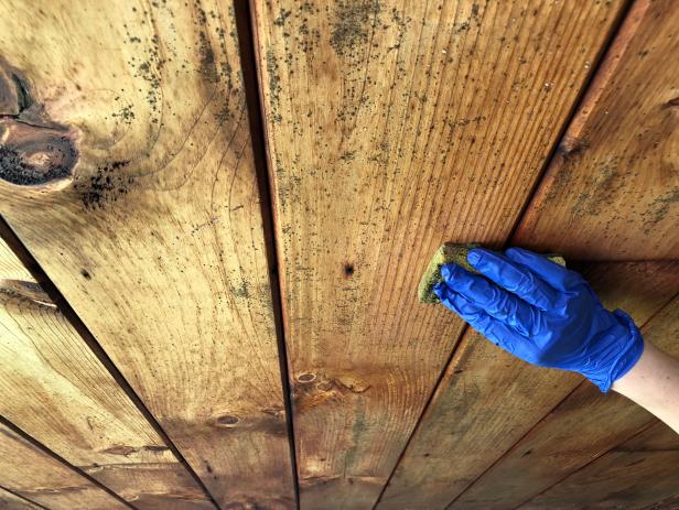 How To Remove Mold From A Wooden Ceiling - How To Get Mildew Off Wood Furniture
