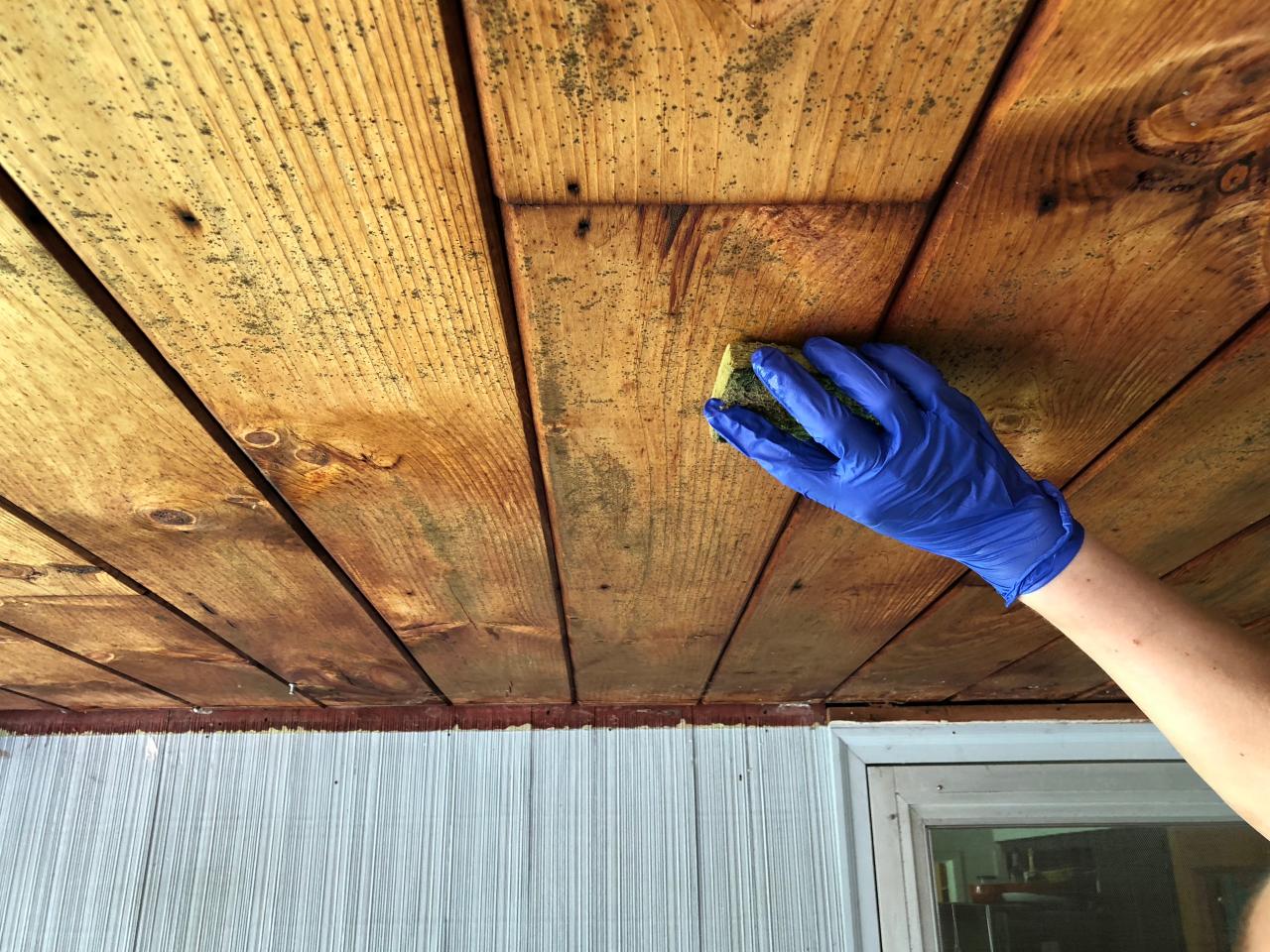 how-to-remove-mold-from-a-wooden-ceiling-hgtv