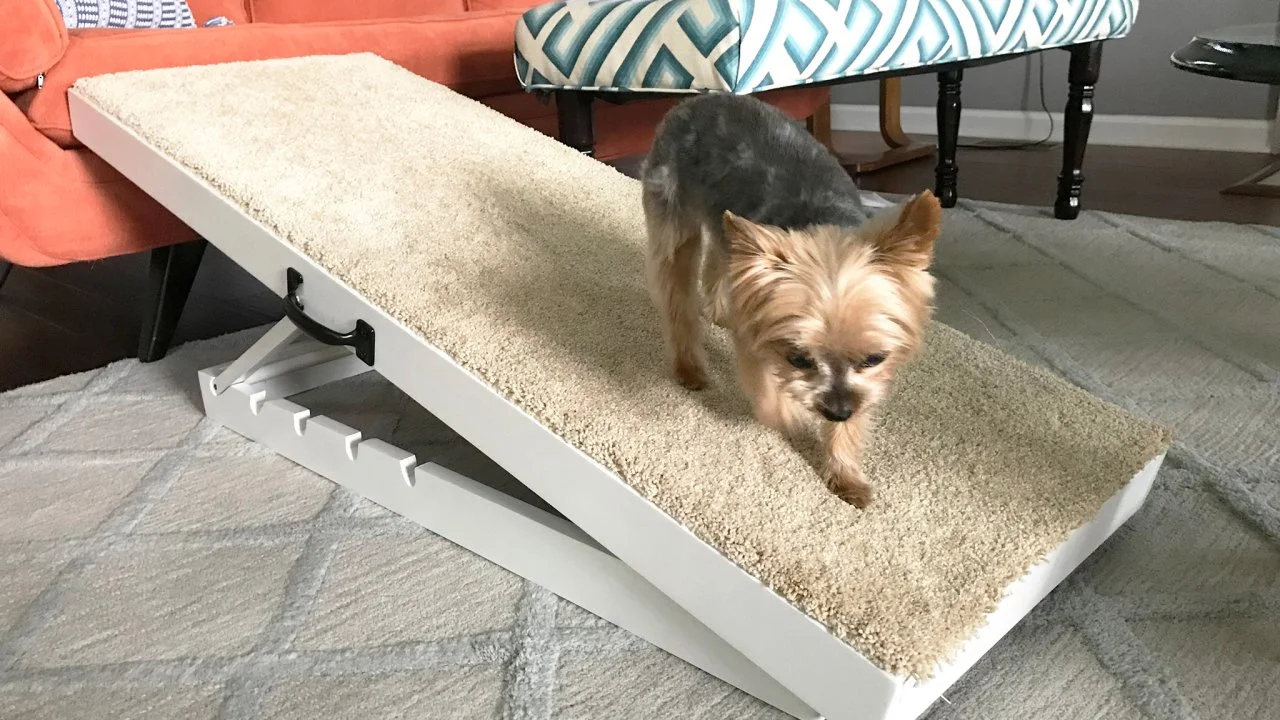 How to Build an Adjustable Dog Ramp HGTV