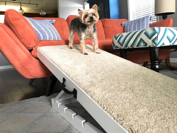 puppy ramp