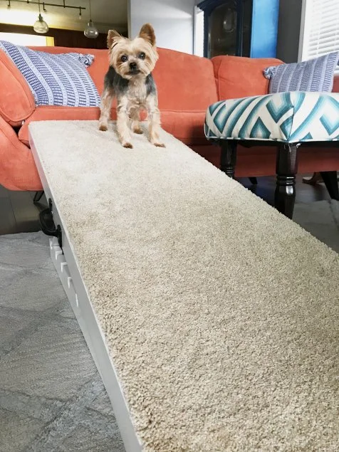 Diy dog ramp for couch hotsell