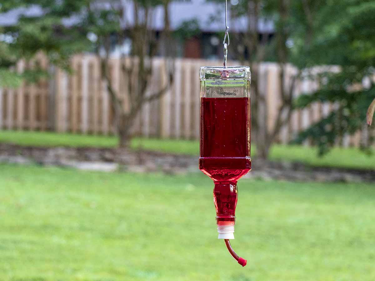 Red Glass Bottle Hummingbird Feeder