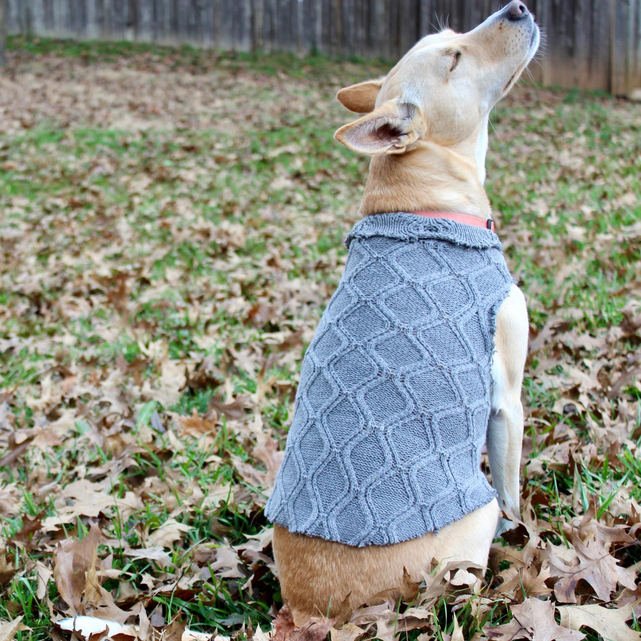 inexpensive dog clothes