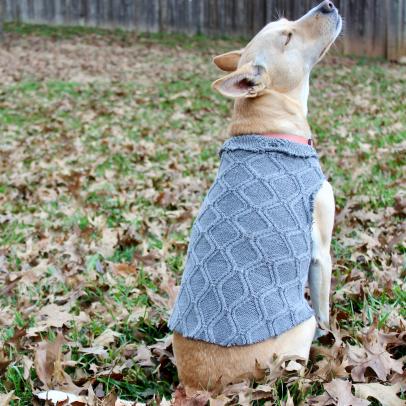 dog sweater that covers belly