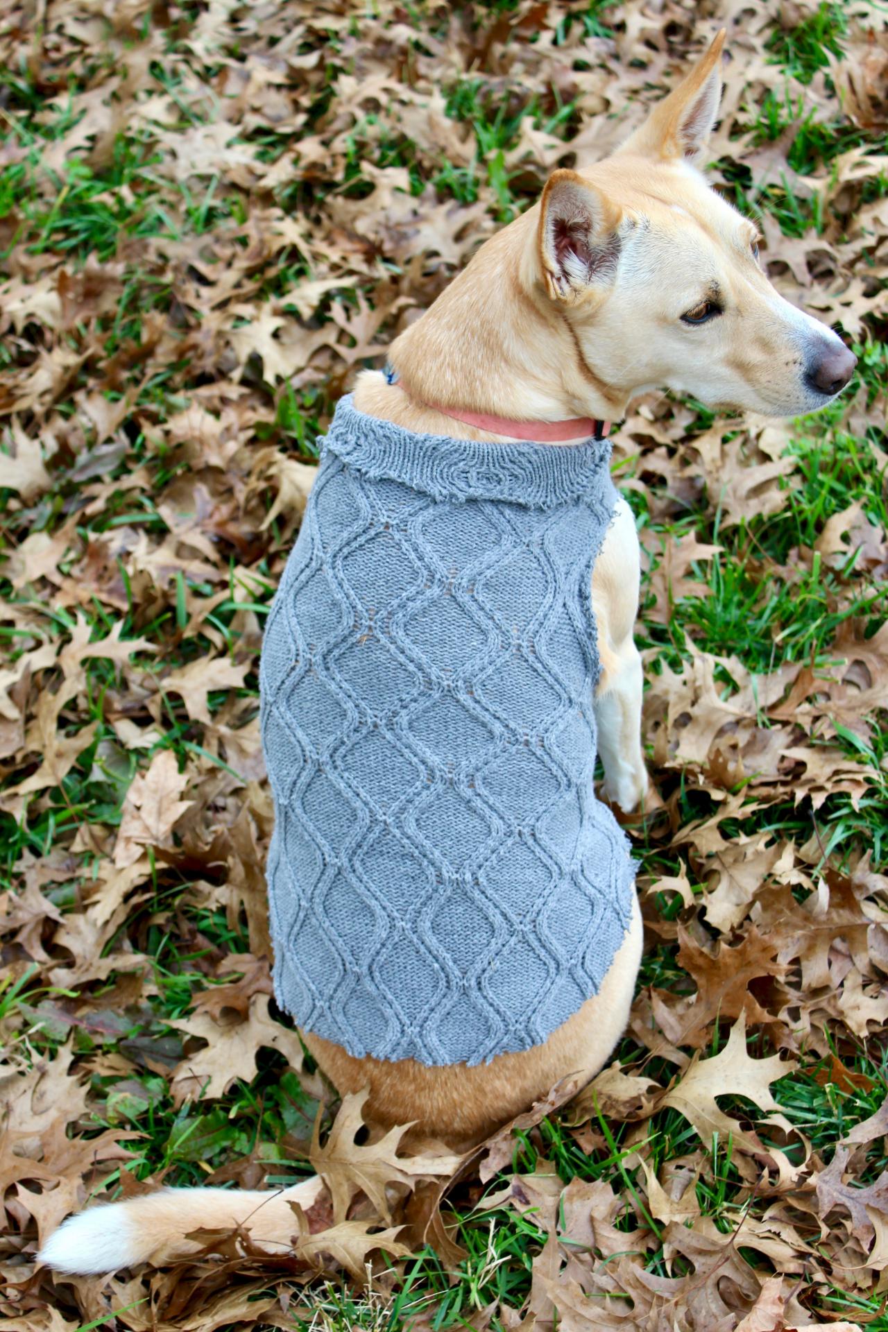 inexpensive dog sweaters