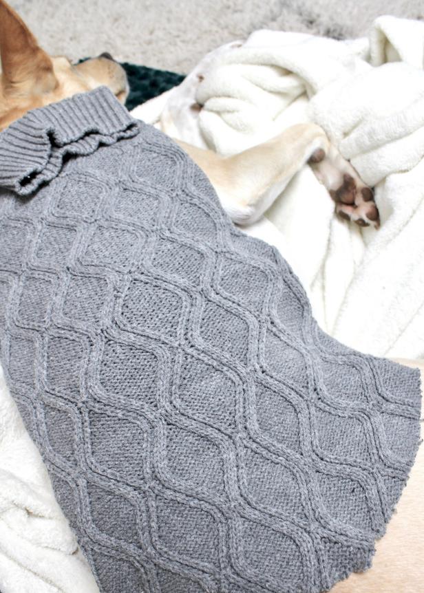 DIY No-Sew Dog Sweater | DIY