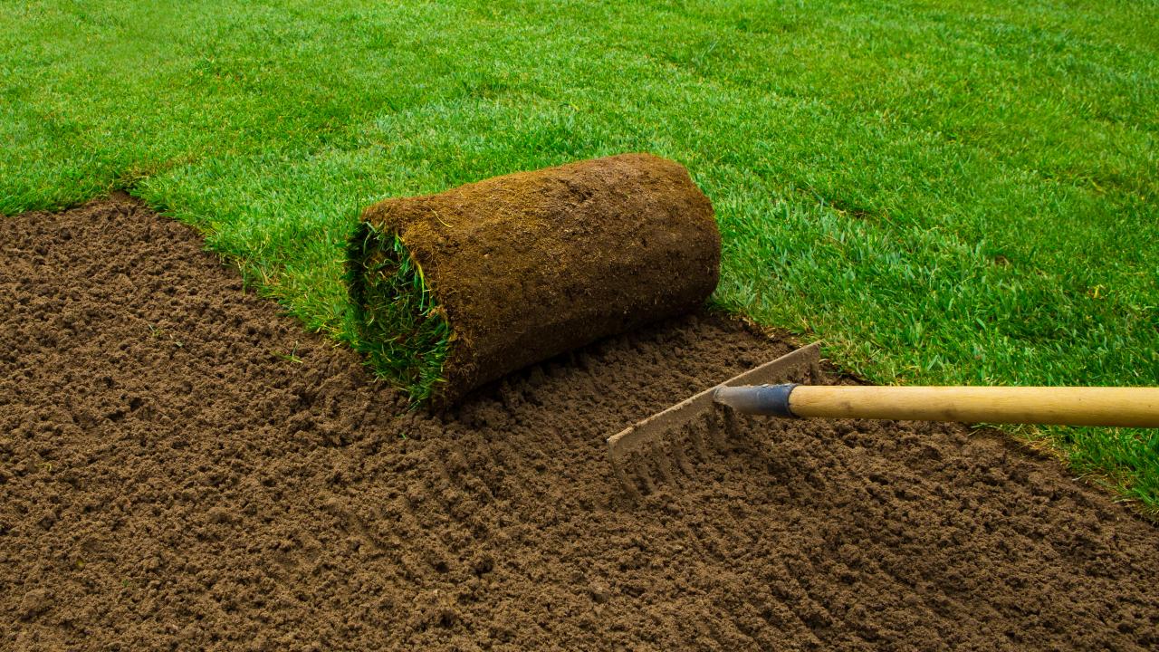 How to Create a Level Lawn With Sod