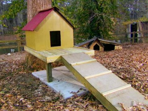 Diy Doghouse Building & Ideas 